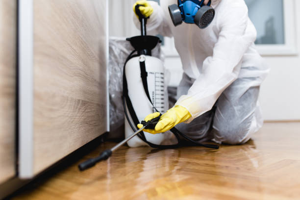 Best Pest Prevention Services  in Port Lavaca, TX