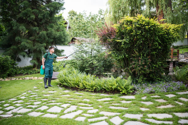 Best Best Pest Control Companies  in Port Lavaca, TX