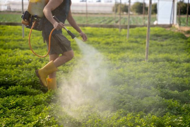 Best Wildlife Control Services  in Port Lavaca, TX