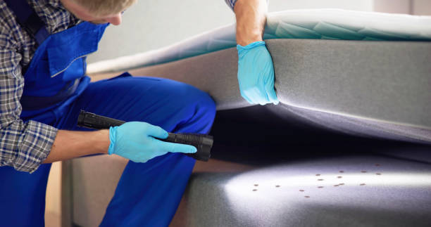 Best Ant Control Services  in Port Lavaca, TX