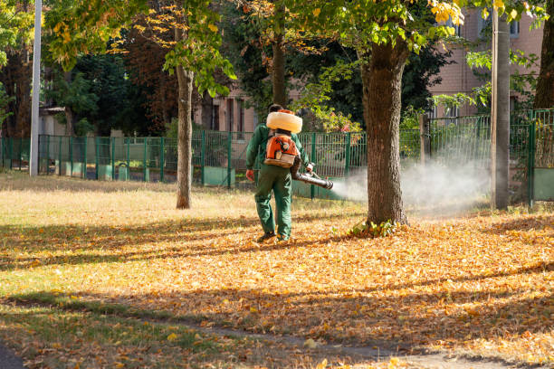 Pest Prevention Services in Port Lavaca, TX