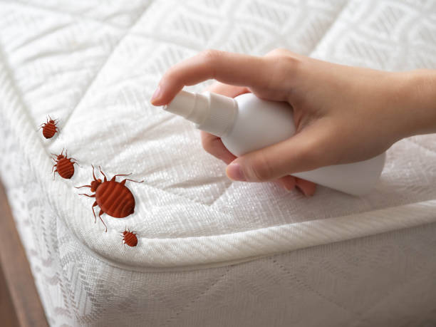 Best Commercial Pest Control Services  in Port Lavaca, TX