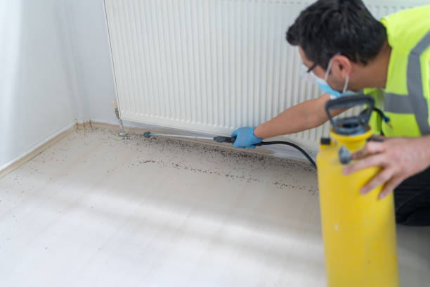 Best Cockroach Control Services  in Port Lavaca, TX