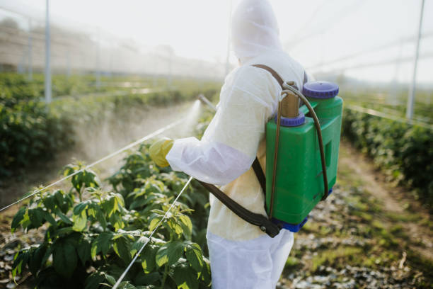 Best Residential Pest Control  in Port Lavaca, TX
